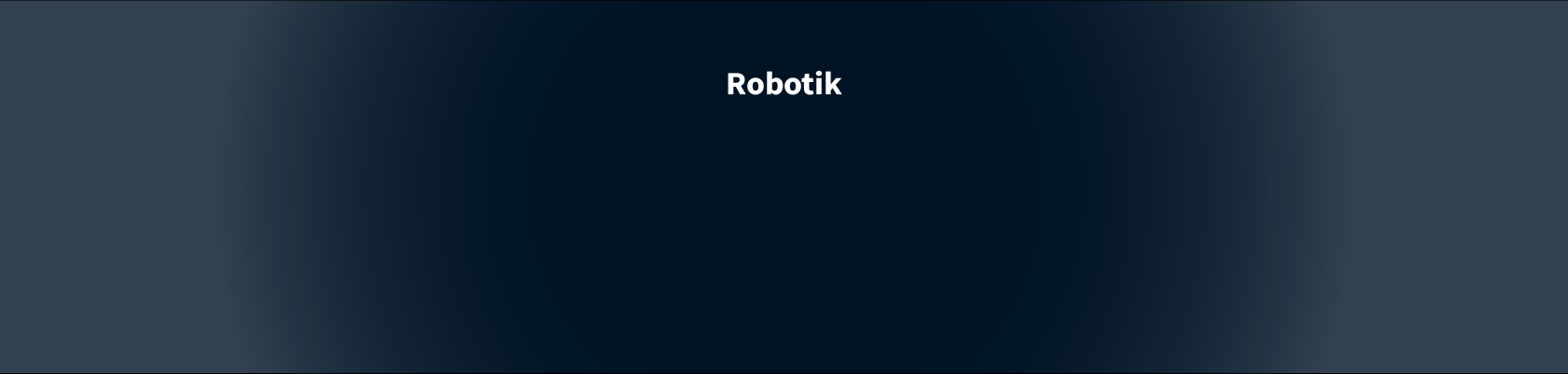 Solutions-Blog-Header-RobotikDE